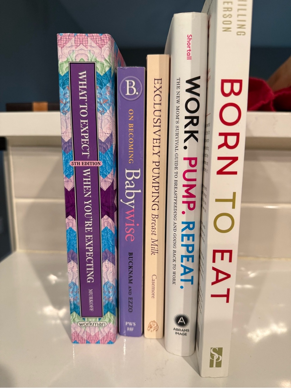 Group of Pregnancy/Pumping/Baby Books